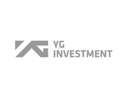 YG INVESTMENT